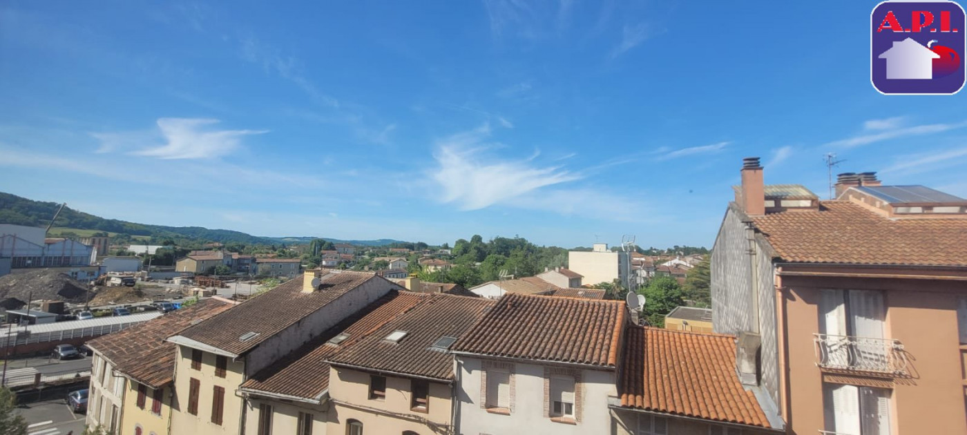 location Appartement Pamiers - Photo 16