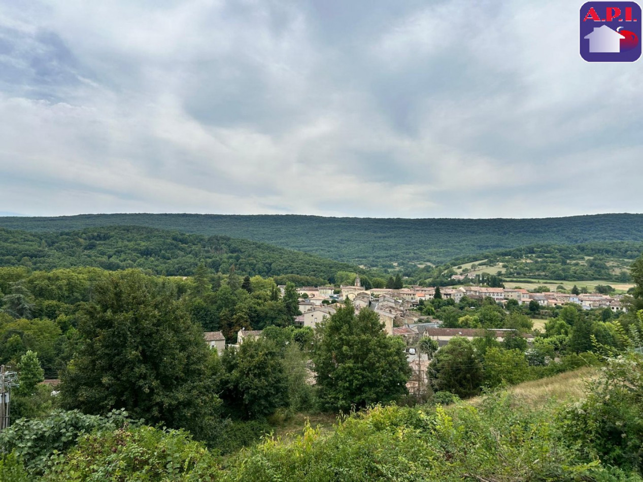 vente Ensemble immobilier Chalabre - Photo 1