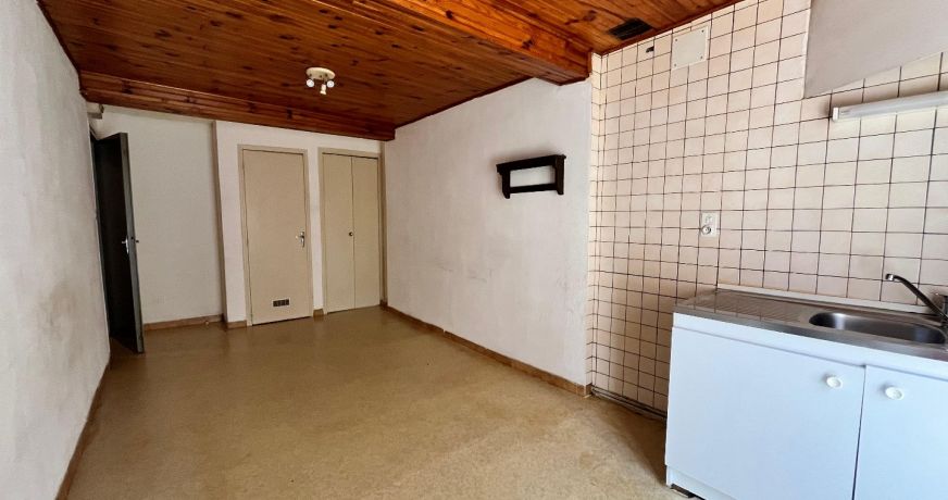 vente Immeuble Pamiers