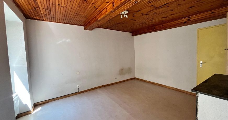 vente Immeuble Pamiers