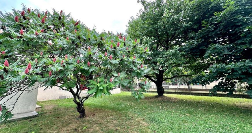 vente Maison Saint Girons