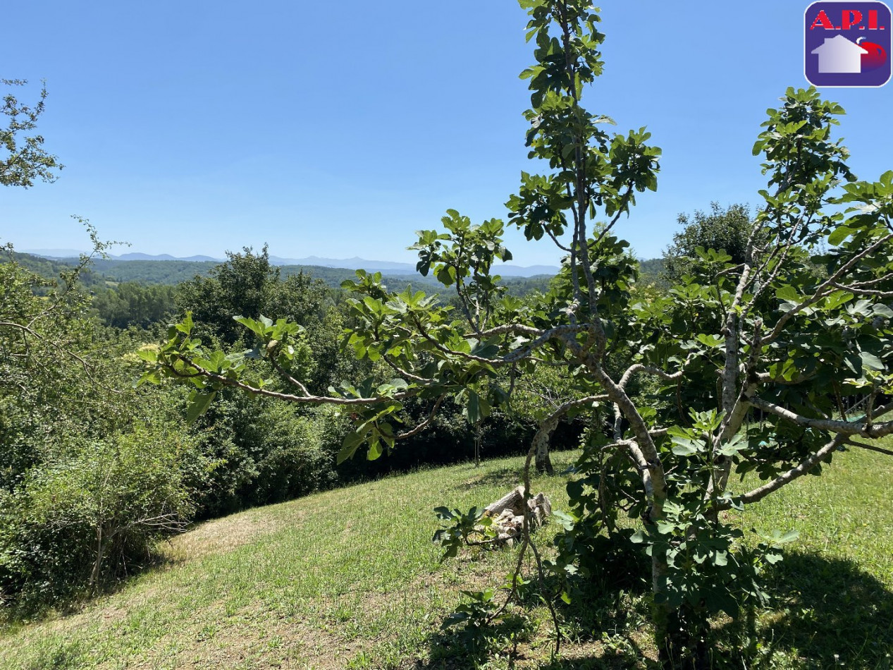 vente Maison Mirepoix - Photo 1