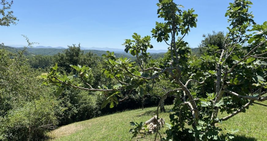 vente Maison Mirepoix