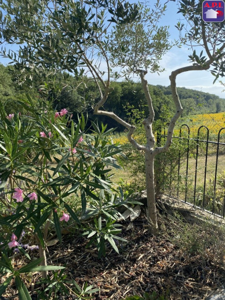 vente Maison Fanjeaux - Photo 5