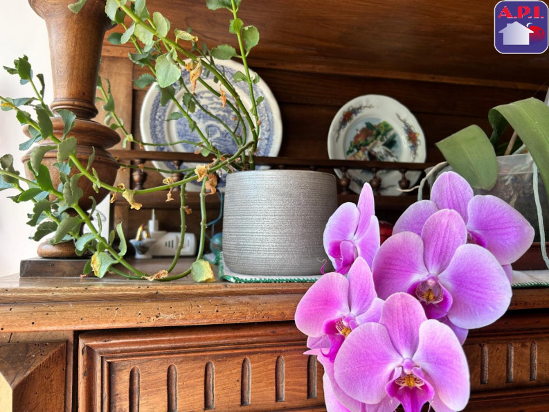 vente Maison Lapenne - Photo 6