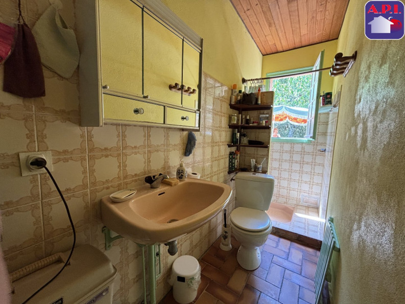 vente Maison Freychenet - Photo 5