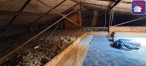 vente Maison Laroque D'olmes