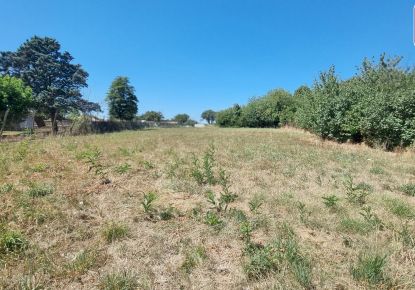 vente Terrain Cintegabelle