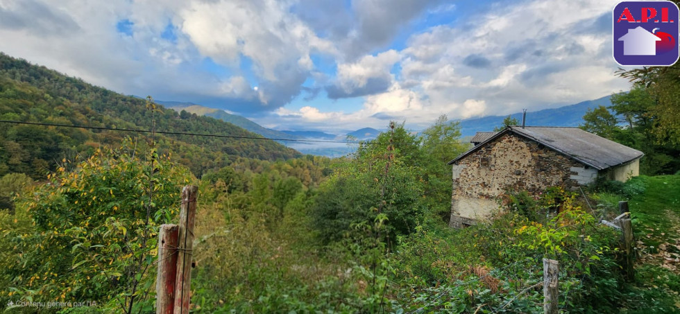 vente Maison Massat - Photo 1