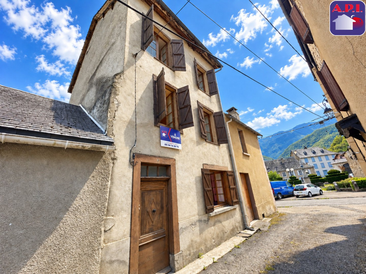 vente Maison Sentein - Photo 1