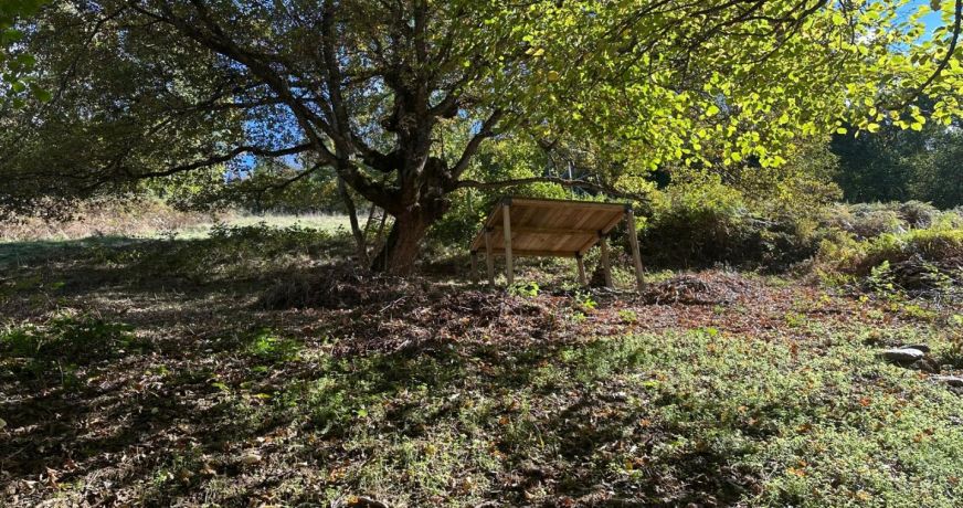 vente Grange Sentein