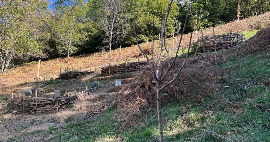 vente Grange Sentein