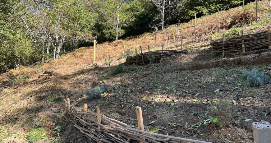 vente Grange Sentein