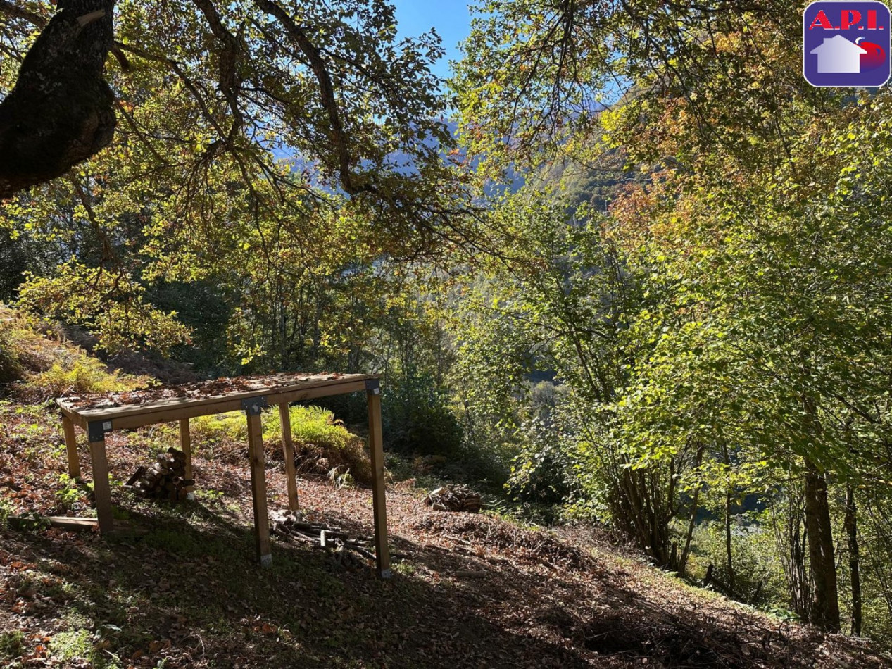 vente Grange Sentein - Photo 9