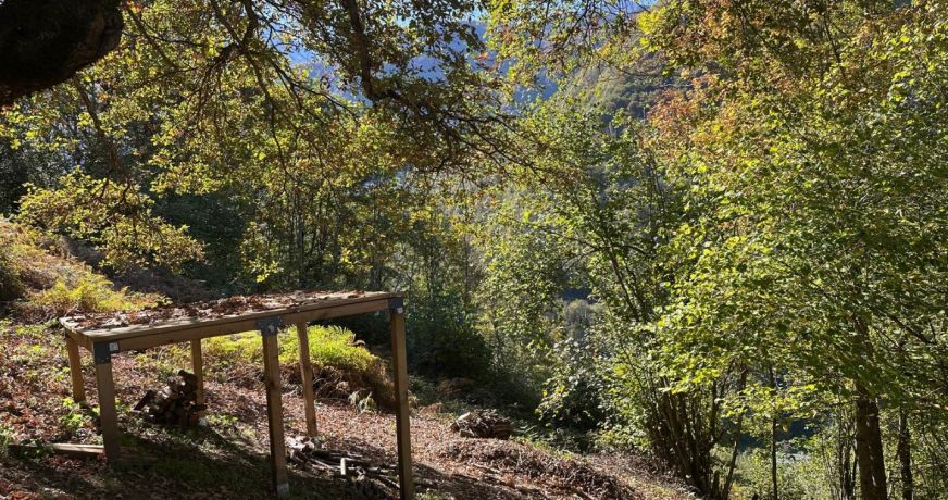 vente Grange Sentein