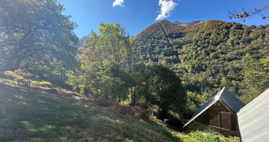 vente Grange Sentein