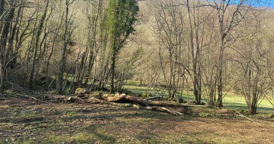 vente Terrain constructible Les Bordes Sur Lez