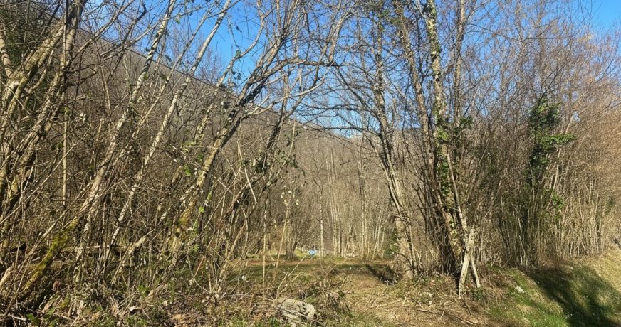 vente Terrain constructible Les Bordes Sur Lez