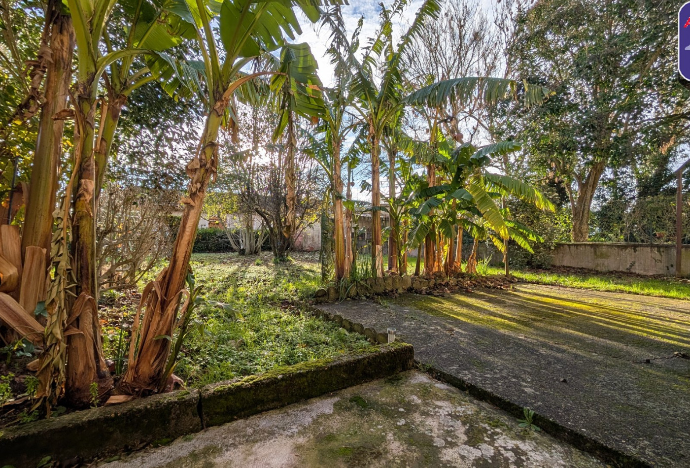 vente Maison Montgiscard - Photo 2