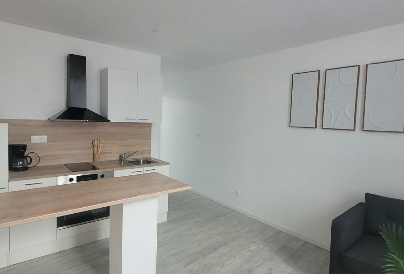 location Appartement Varilhes - Photo 3