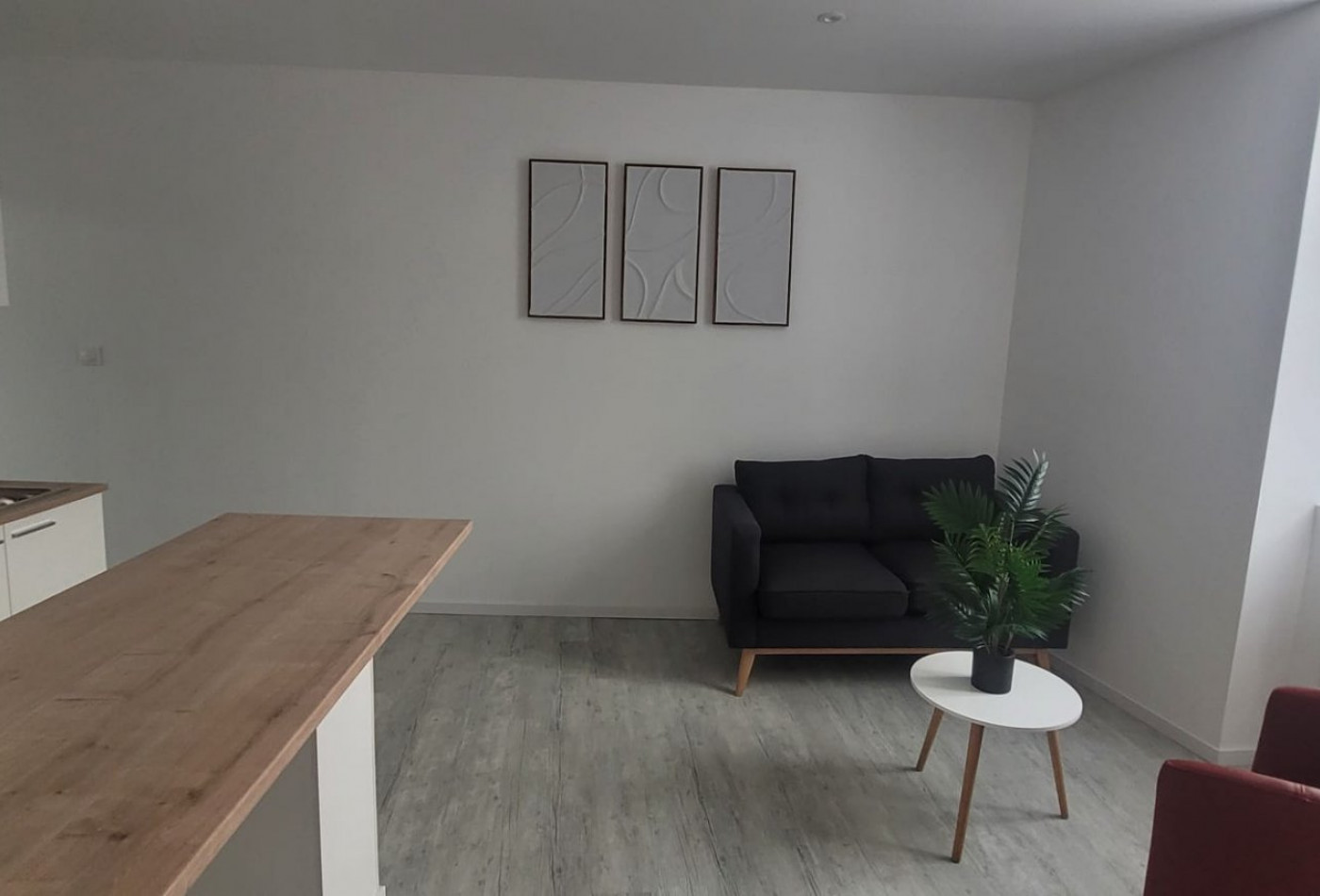 location Appartement Varilhes - Photo 2