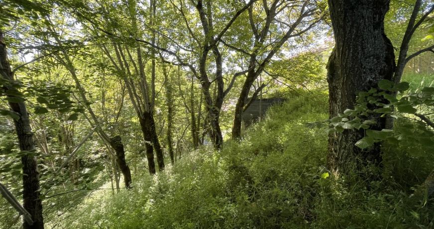 vente Maison de village Belvis