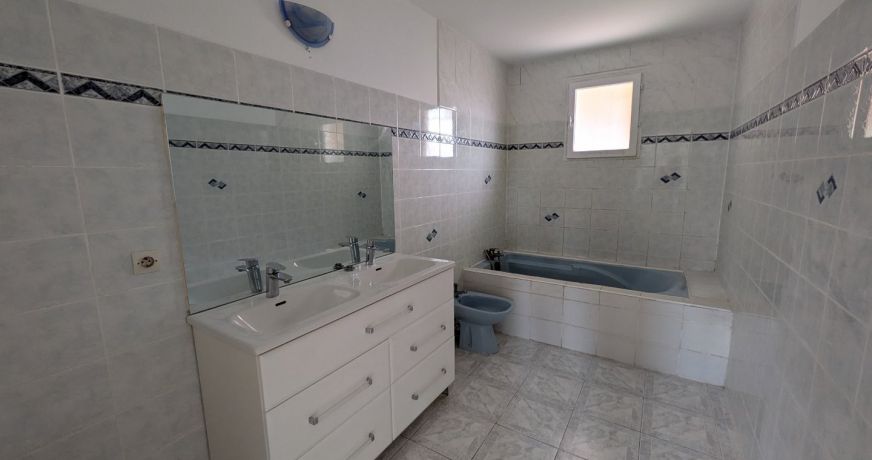 vente Maison Palaminy