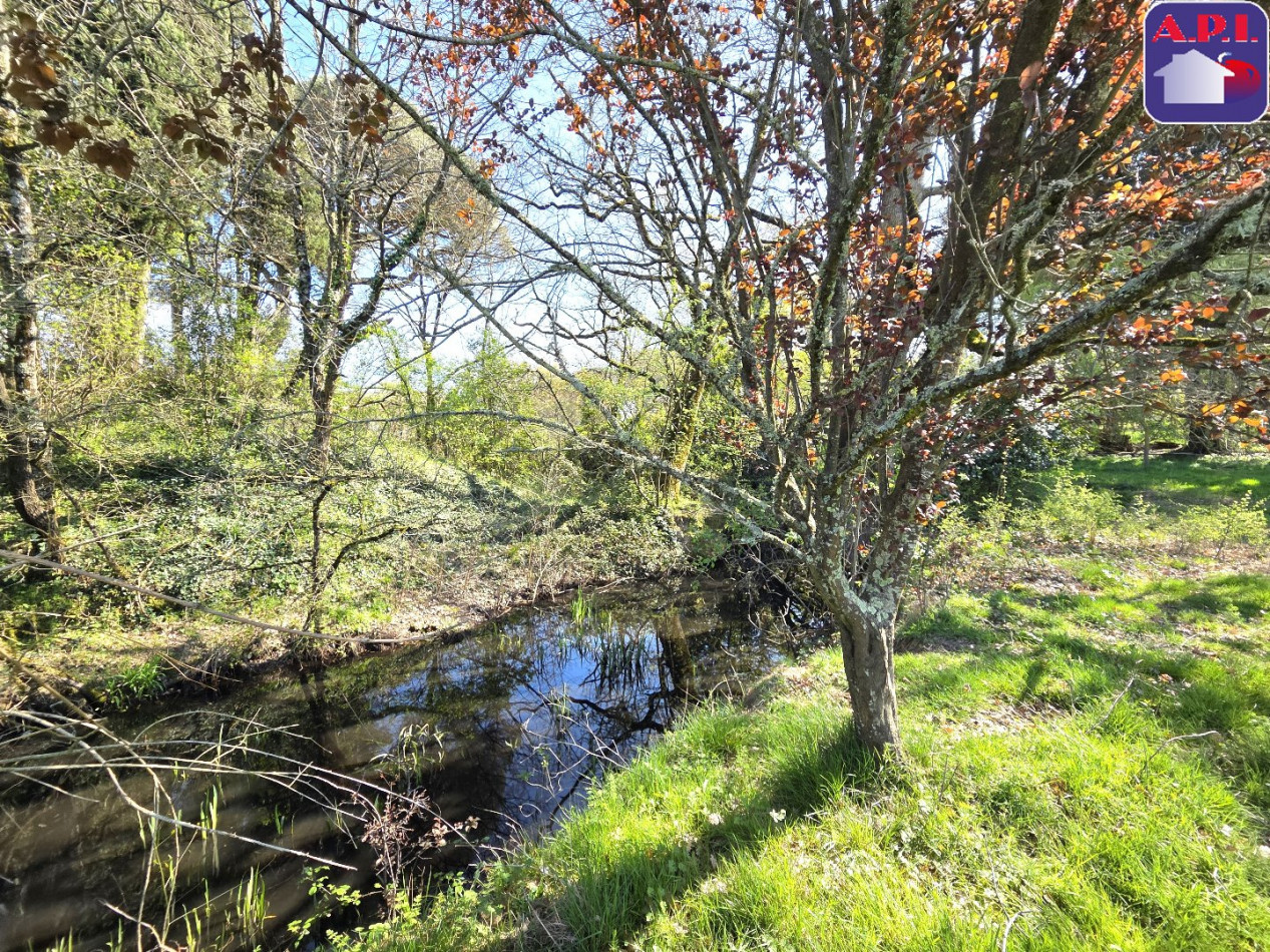 vente Château Saverdun - Photo 3
