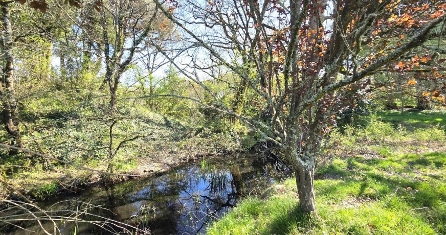 vente Château Saverdun