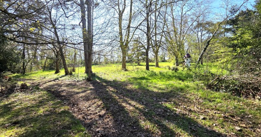 vente Château Saverdun