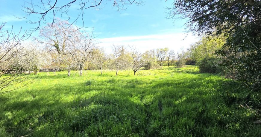 vente Château Saverdun