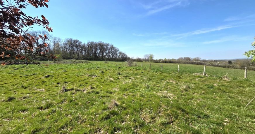 vente Château Saverdun