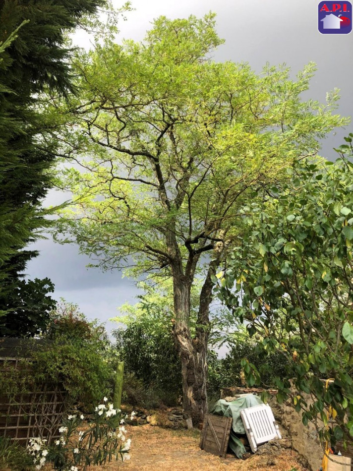 vente Maison de village Fanjeaux - Photo 12