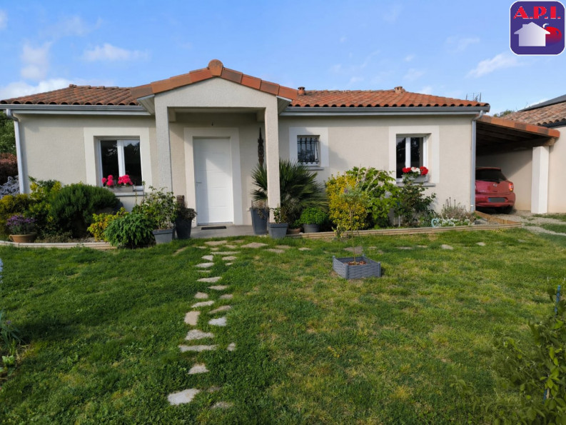 vente Maison Puydaniel - Photo 1