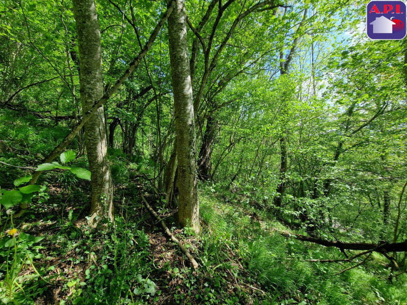 vente Grange Saurat - Photo 10