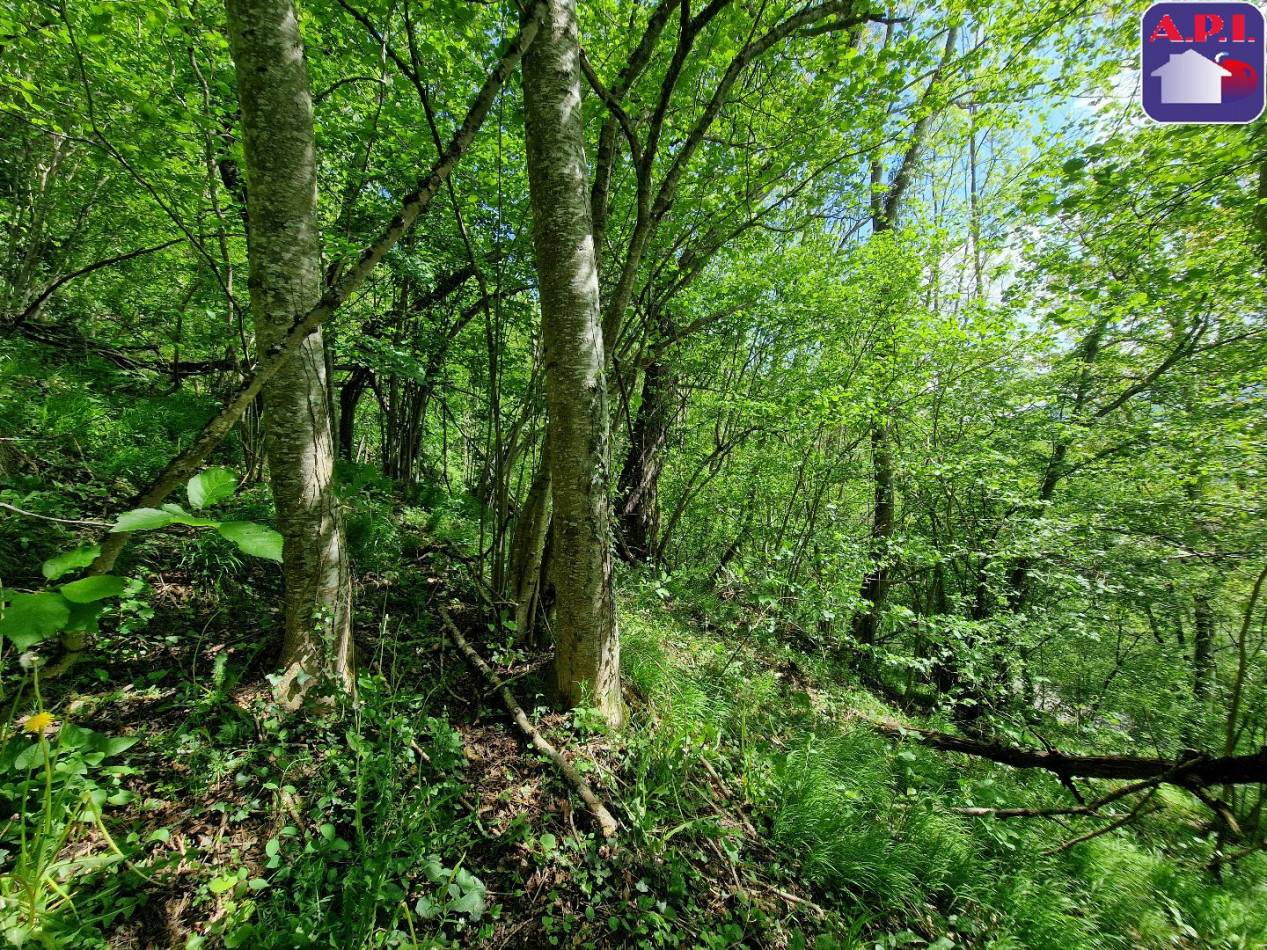 vente Grange Saurat - Photo 10