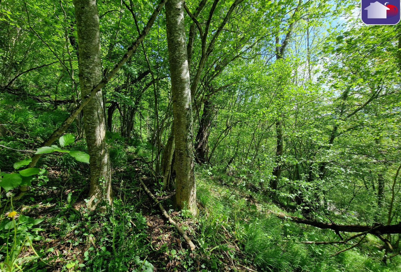 vente Grange Saurat - Photo 10