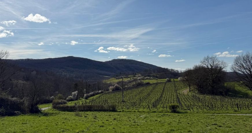 vente Maison Crampagna