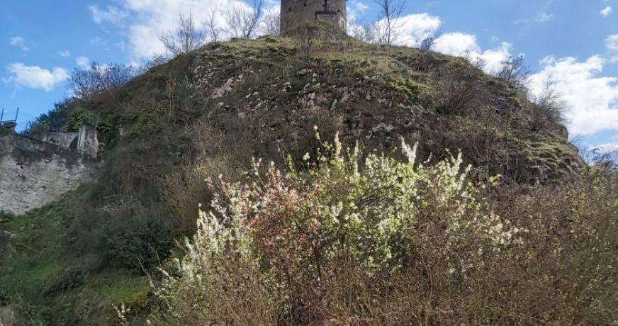 location Appartement Tarascon Sur Ariege