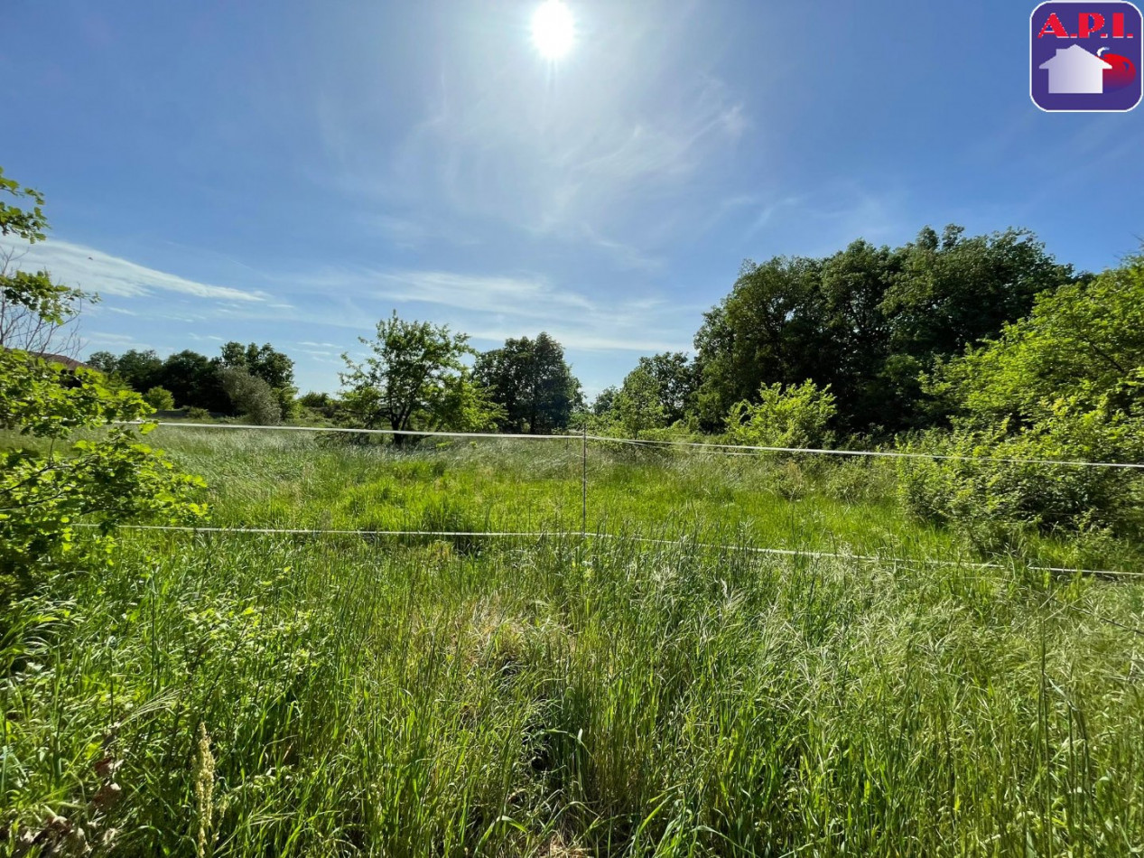 vente Maison Miremont - Photo 12