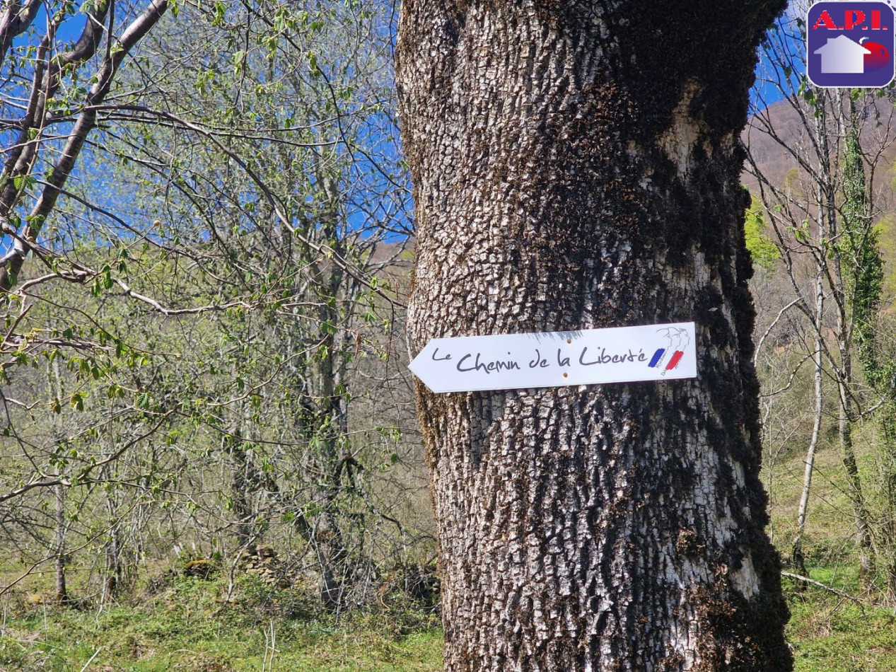 vente Grange Sentenac D'oust - Photo 11