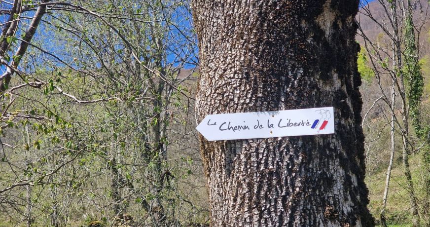 vente Grange Sentenac D'oust