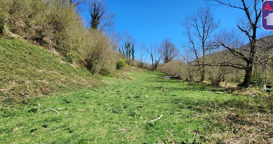 vente Grange Sentenac D'oust