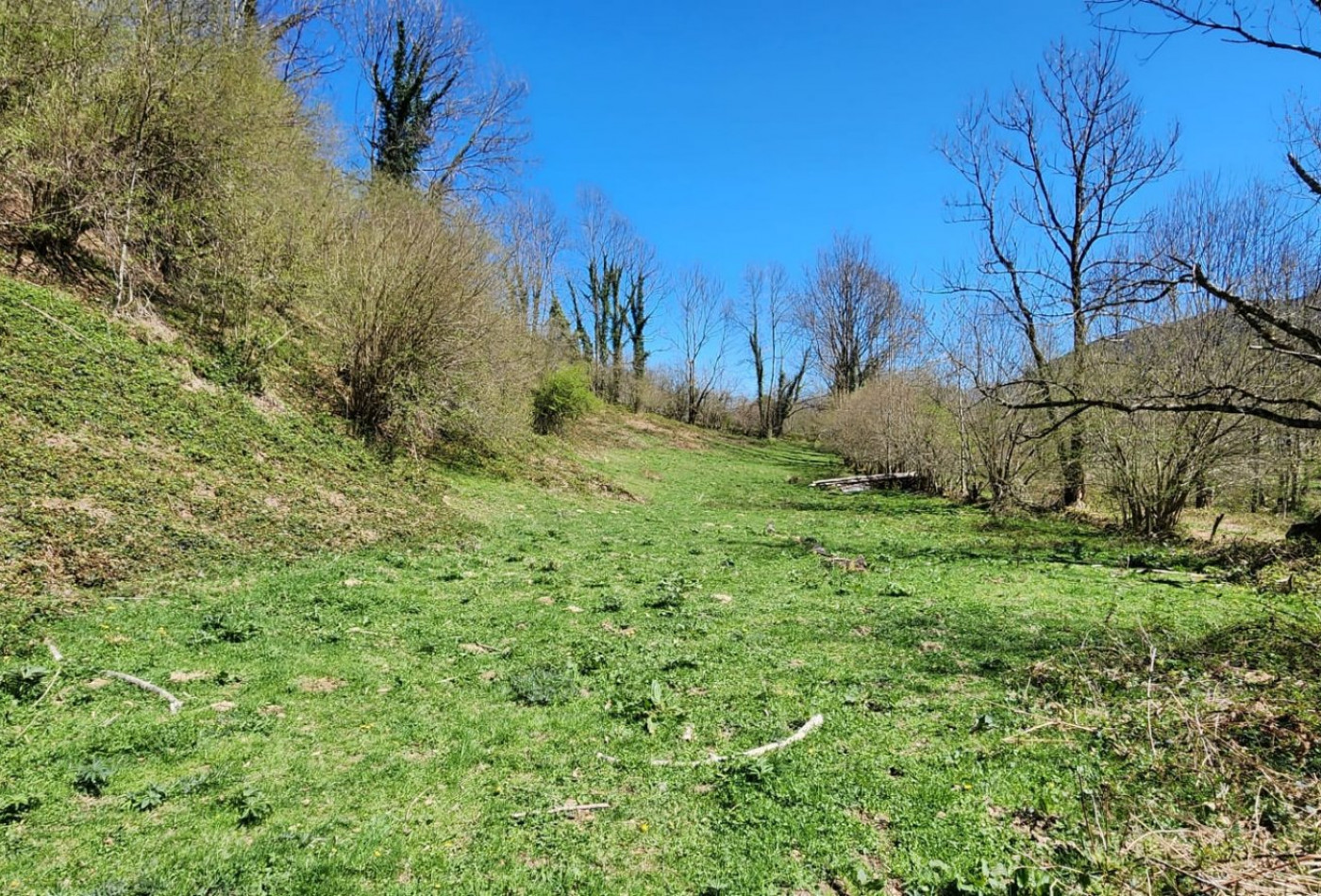 vente Grange Sentenac D'oust - Photo 9