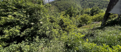 vente Terrain Foix