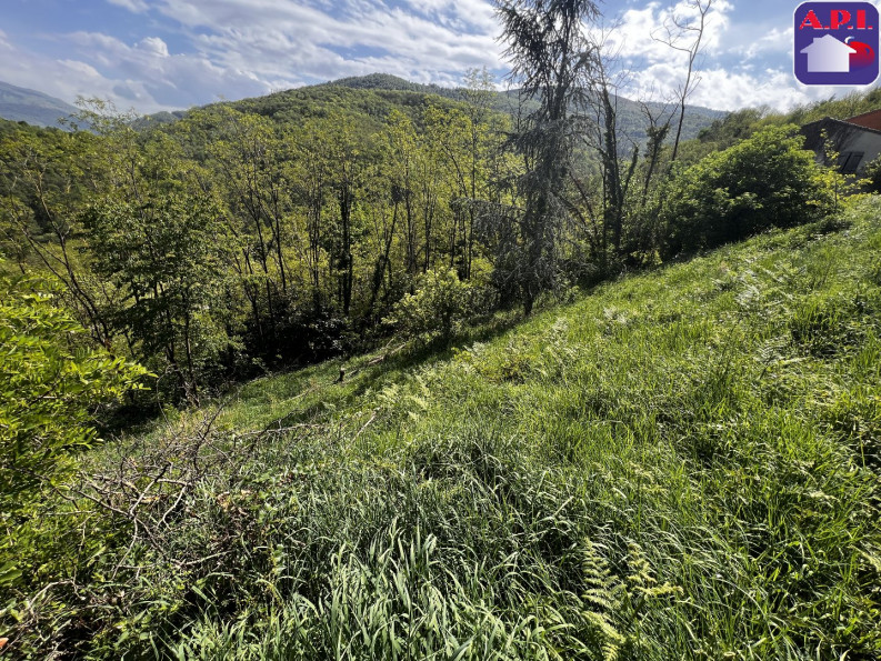 vente Terrain Foix - Photo 2
