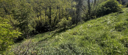 vente Terrain Foix