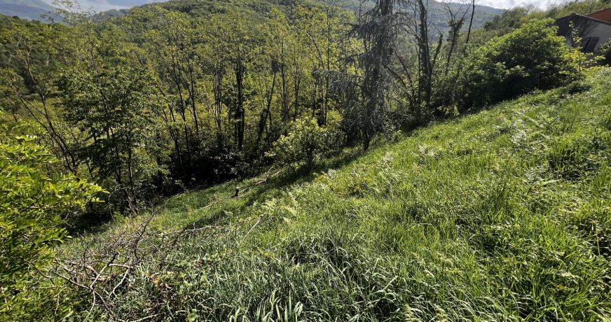 vente Terrain Foix