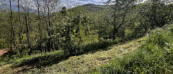 vente Terrain Foix