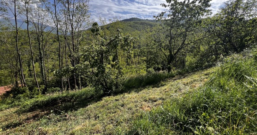 vente Terrain Foix